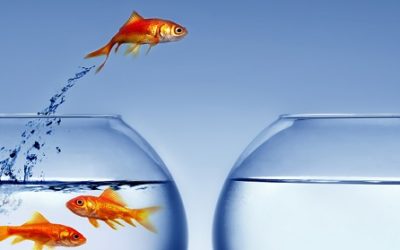 Nothing Called Failure – Business Ideas