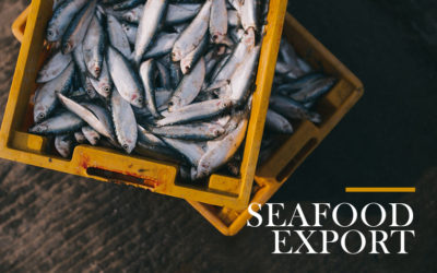How do you export seafood?