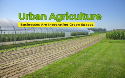 Urban Agriculture: How Businesses Are Integrating Green Spaces into Cityscapes